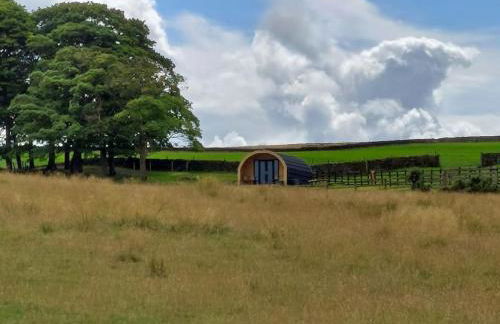 High Whashton Springs Glamping Pod, Richmond Yorks - Foto 11