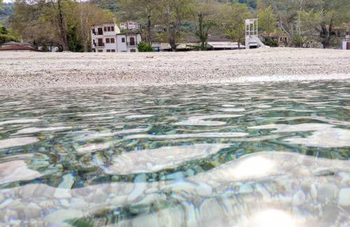 Flower house - Foto 51