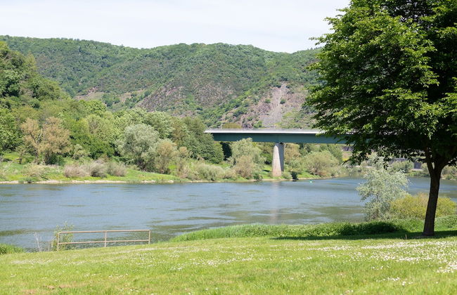 Haus Junge Traube - Photo 38