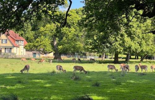 Mamat Ferienwohnungen - Foto 31