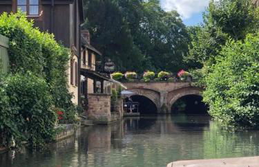 Coeur Alsace - Foto 21