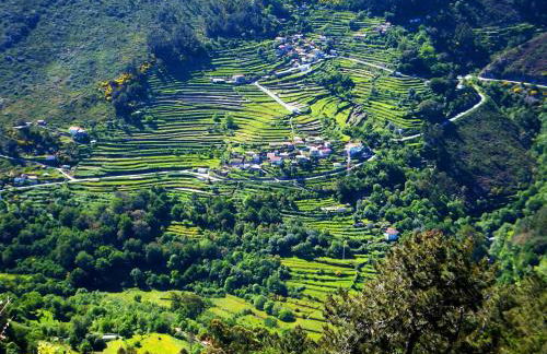 Casa da Avó - Foto 17