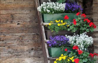 Apparthotel Marteshof - Foto 40