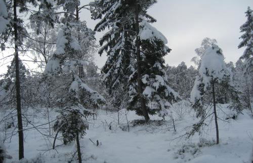 Ferienwohnungen Weber - Foto 15