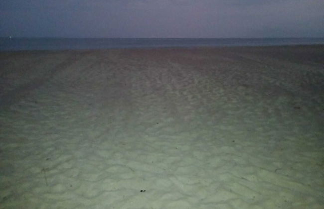 Al lado del mar Cabañas Polaris Coveñas - Foto 29