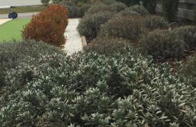 Villa avec Piscine Lac de Sanguinet - Foto 33