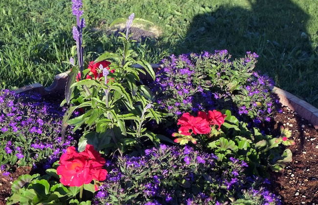 Le Buche Wine Resort & Spa - Foto 75