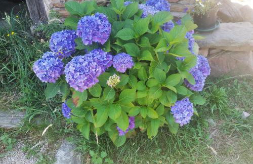 Apartamento Felicitas en La Casa de Cobos, Ribeira Sacra - Foto 38