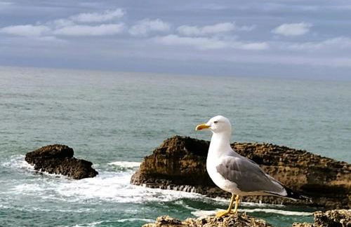 Maison basque de charme avec piscine - Foto 46