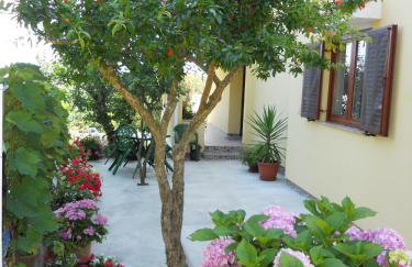 Apartments Gržanov - Photo 27