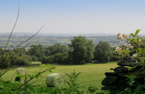 Llechwen Hall - Foto 24