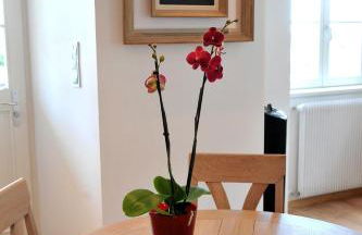 Les Balcons De Riquewihr - Foto 35