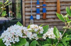 Nasze Calle - Foto 26