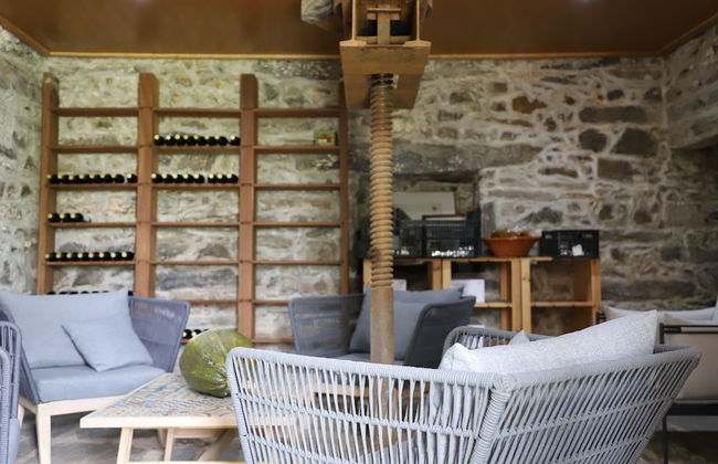 Quinta Vale de Sousa - Douro Valley - Foto 56