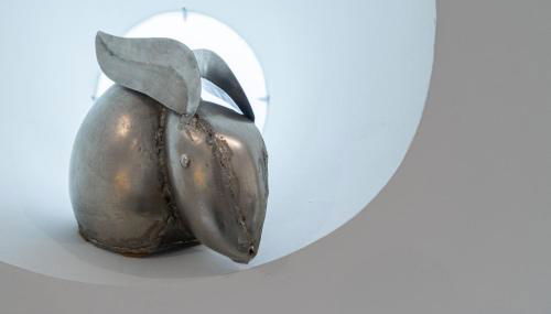 Apartamento Cadiz Wonderland - Foto 4