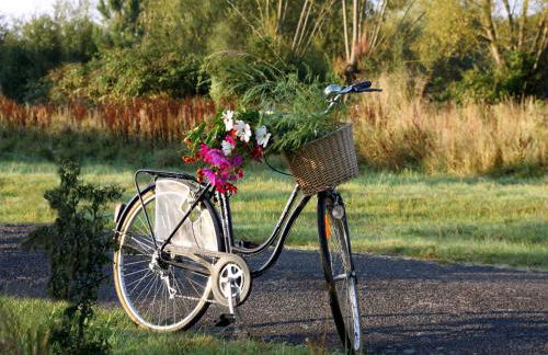 Gîte Au fil de l'eau - Foto 16