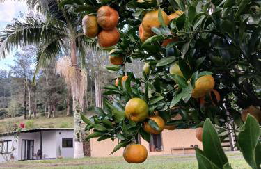 Casa do Bem Estar Picada Café - Foto 24