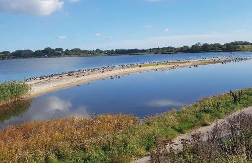 Ferienwohnung Viola - Foto 22