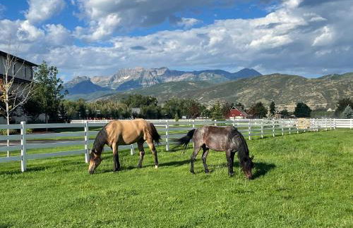 Studio Pool House by Xquisite Rentals - Photo 16