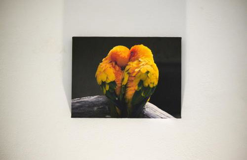 Green Parrot Apartments - Foto 53