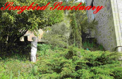 Songbird Sanctuary - Foto 23