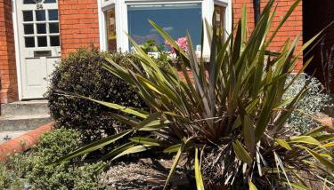 Charming cottage in Wells with easy parking - Foto 2