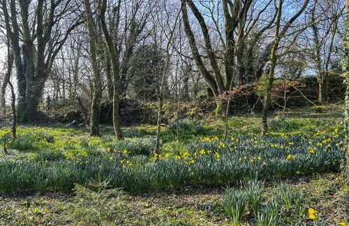 Raine Cottage - Foto 17