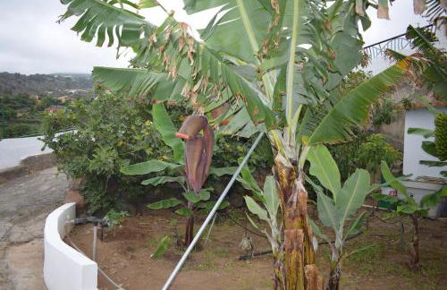 Chicho's Home - Foto 34