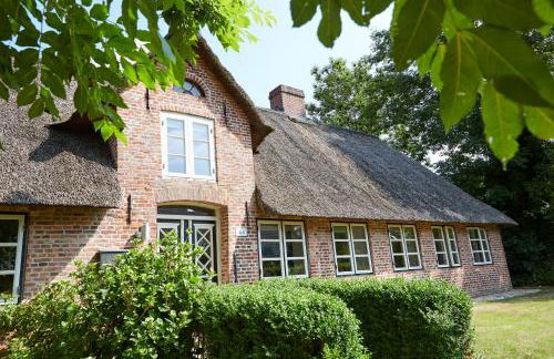 Mein Nordstern - Foto 1