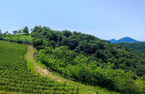 Residence Magnolia - Photo 16