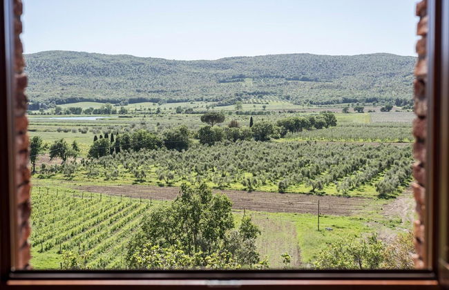 Agriturismo La Colombaia - Foto 14