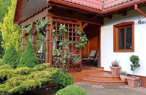 Siedlisko Gruszki Puszcza Białowieska - Foto 48