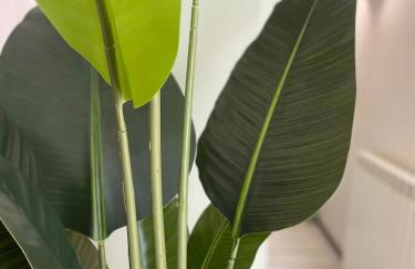 Lakefront Apartment with Panoramic Pool - Foto 31