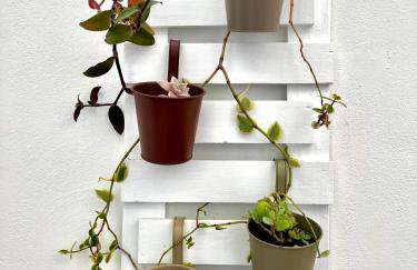 Casa Curiosa - Foto 7