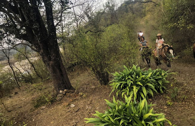 Warakusi Cottages - Off Road - Photo 15