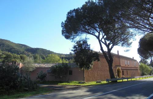 La Fattoria Delle Tartarughe - Foto 51