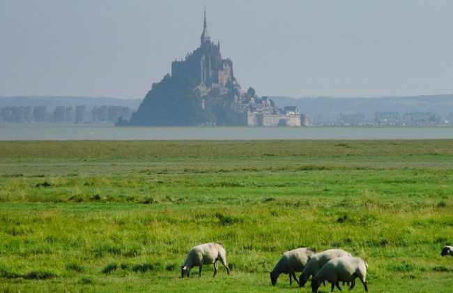 Country House in Normandy Near D-day Beaches - Foto 31