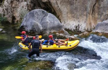 La Finca OliveTree - Foto 62