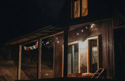 Mech i brzoza - Foto 9