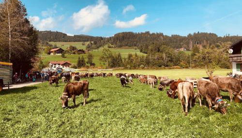 Seeperle Souterrain - Foto 5