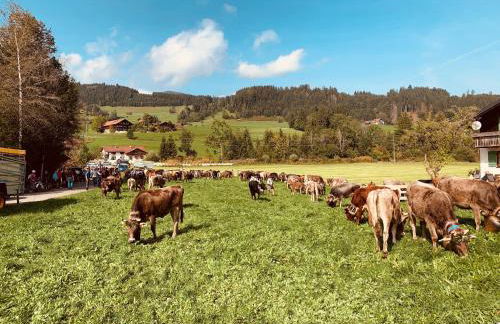 Seeperle Souterrain - Photo 5