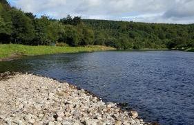 Mary's Apartment - Foto 33