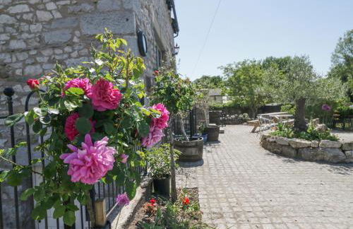 Old Watermill - Foto 37