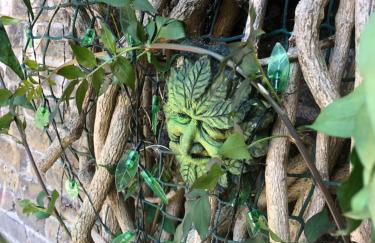 Garden Oasis - Foto 40