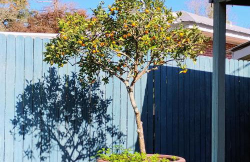 Mid-Century Modern meets Cajun Creole - Foto 27