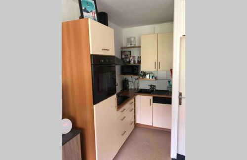 Le Skidoux 2*, au pied des pistes, vue montagne - Foto 14