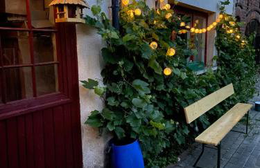 Jolly Old House - Foto 16