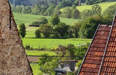 Ferienwohnung Pflüger mit Terrasse - Foto 34