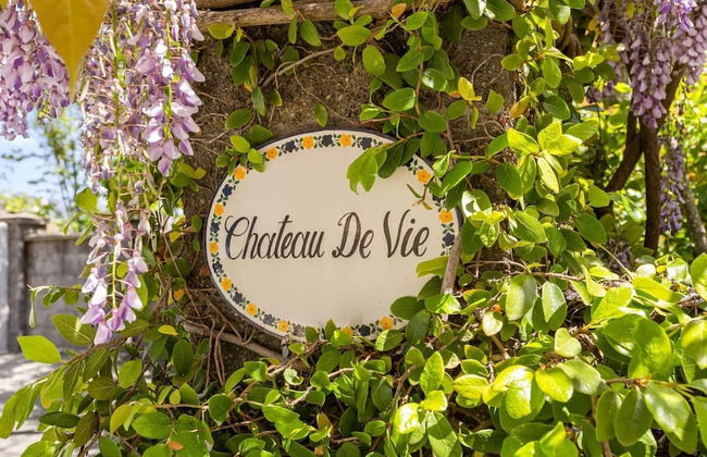 French Provencal Chateau in the Heart of Napa - Foto 1