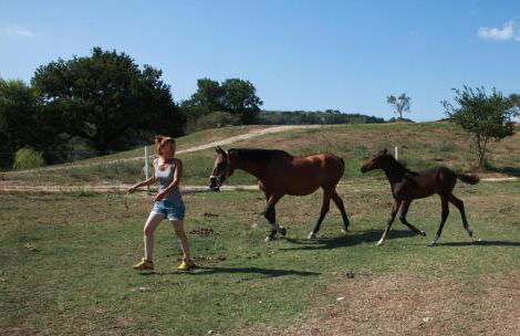 Podere Calledro - Foto 53